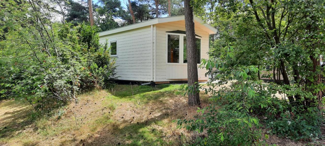 Chalet Op Bosrijk Familiepark Otel Raalte Dış mekan fotoğraf